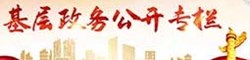 民權縣基層政務公開專題